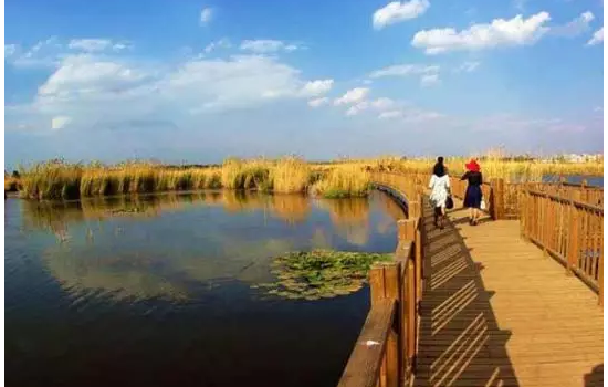 共擠塑木復合材料用于濕地公園蔚然成風