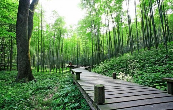 竹塑復合材料的應用