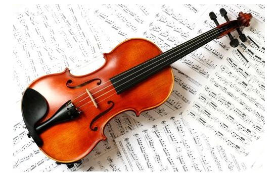 塑木復合材料應用于樂器共鳴板的可能性