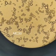 上海圣萊特微球科技有限公司